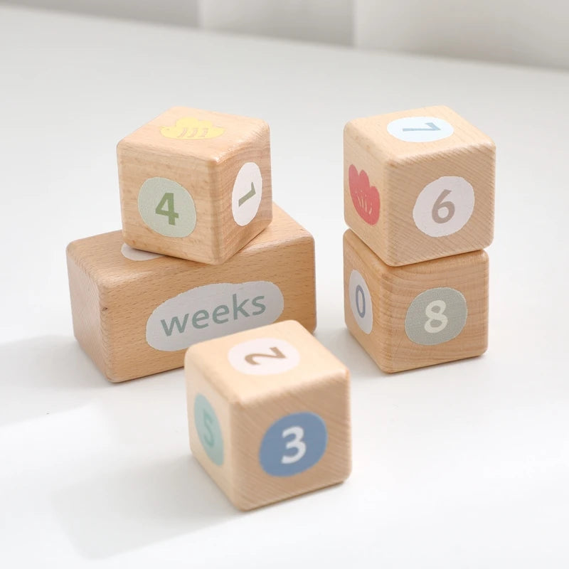 CowLost | baby-transport-accessories-baby-monthly-milestone-blocks-photo-prop-set-unisex-age-signs |17