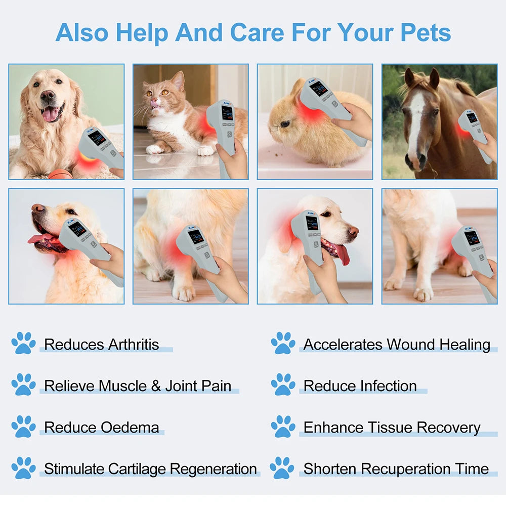 CowLost | mls-cold-sore-laser-device-650nmx16-808nmx4-low-level-cold-laser-therapy-device |18