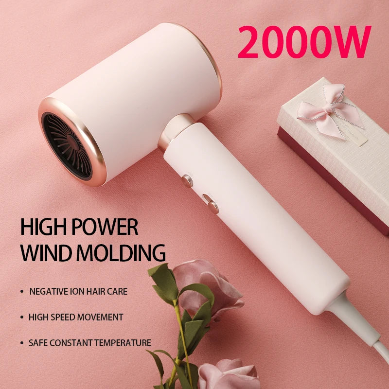 CowLost | product_id-homefish-2000w-professional-5th-gear-negative-ionic-hair-dryer-with-hot-cold-wind |2
