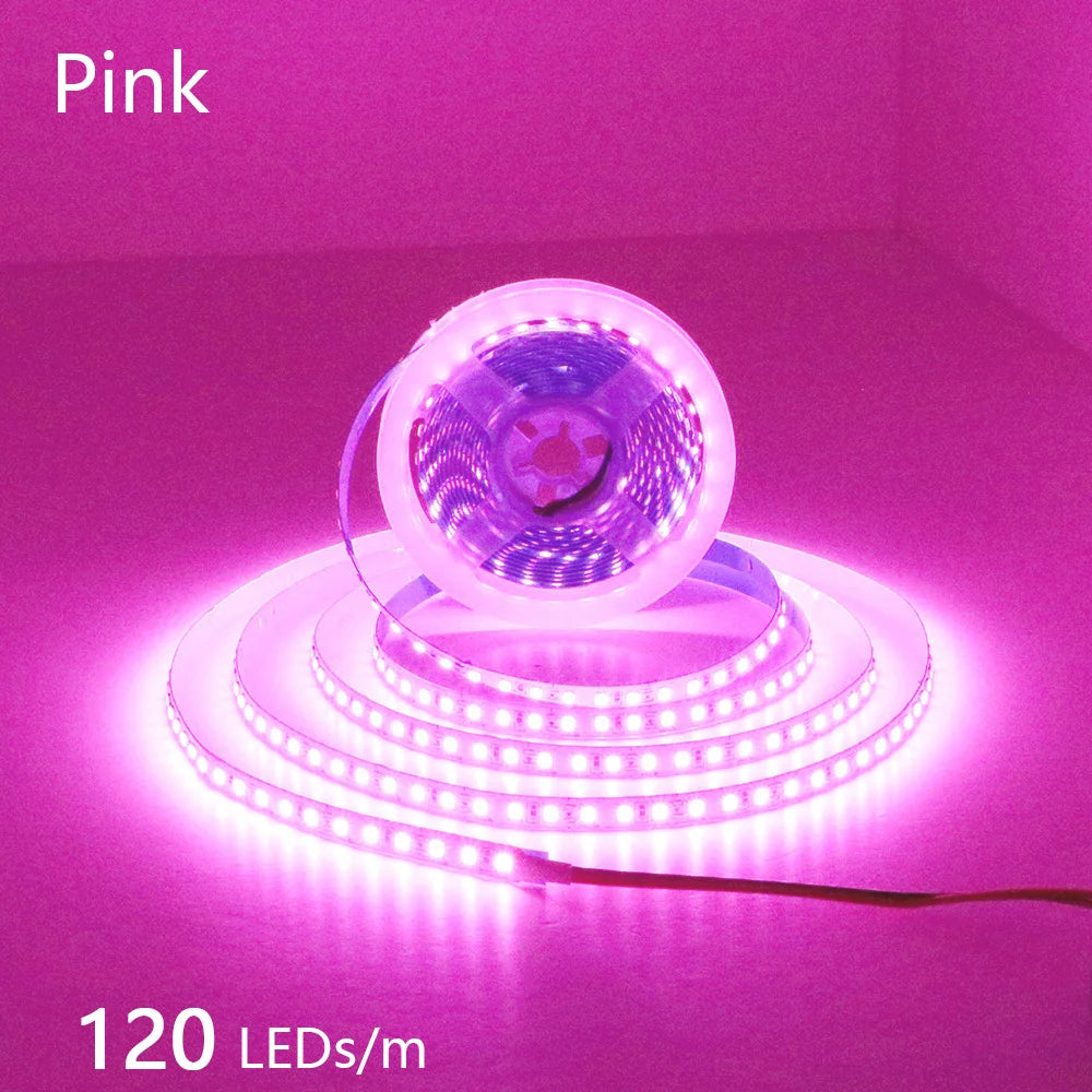 CowLost | 2835-5m-300-600-1200leds-led-strip-dc12v-24v |35