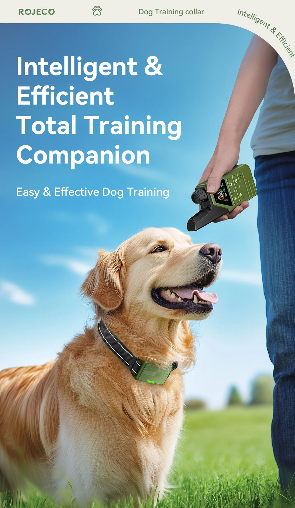 CowLost | dog-diapers-rojeco-ipx7-waterproof-electric-dog-training-collar-with-remote-control |7