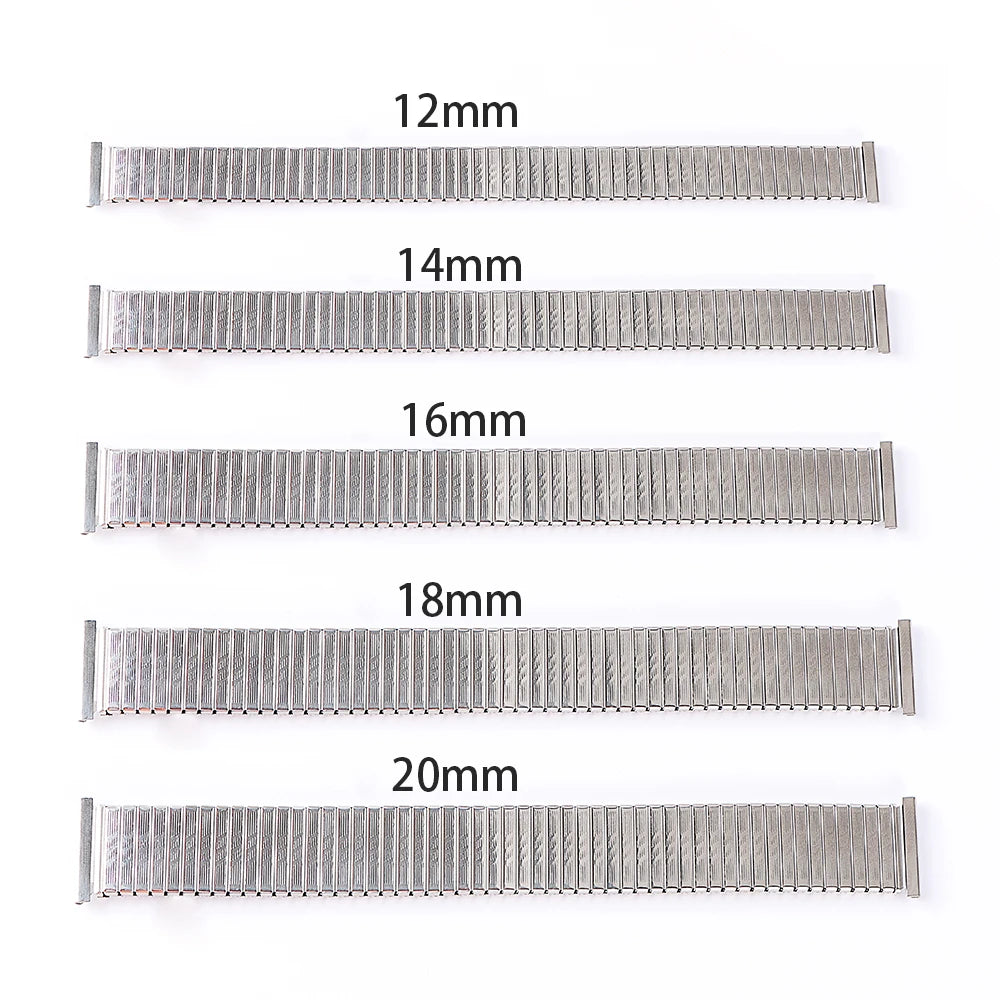 CowLost | product_id-stainless-steel-elastic-spring-telescopic-watchband-for-rolex-and-seiko-unisex |9