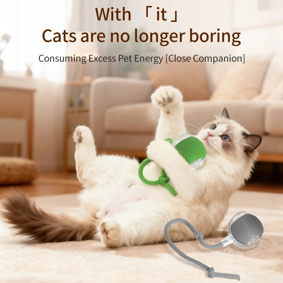 CowLost | product_id-rechargeable-automatic-rolling-ball-interactive-toy-for-cats-and-dogs |7