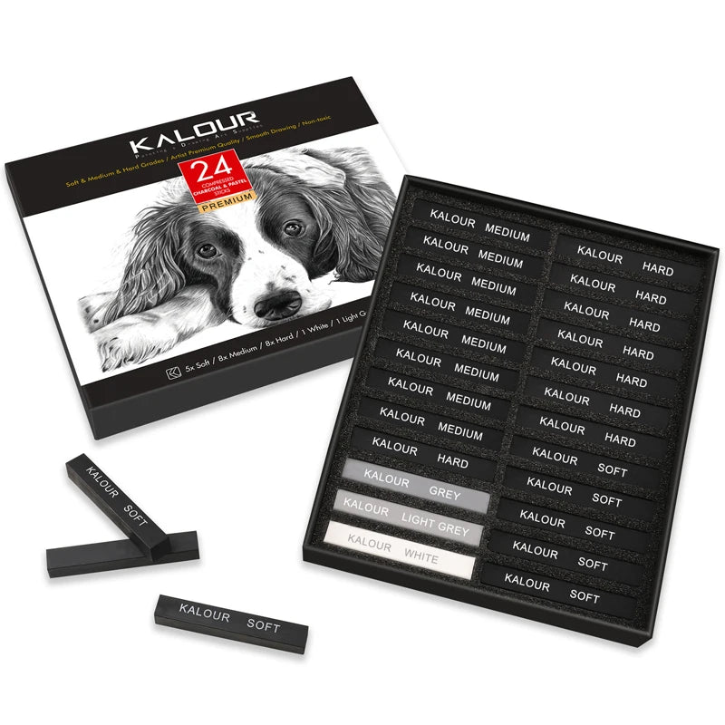 CowLost | product_id-kalour-24-piece-professional-artist-grade-charcoal-pastel-set-for-sketching-and-drawing |7
