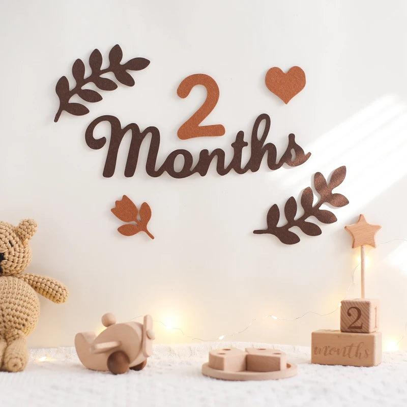 CowLost | baby-transport-accessories-felt-newborn-photography-milestone-props-0-12-months |1