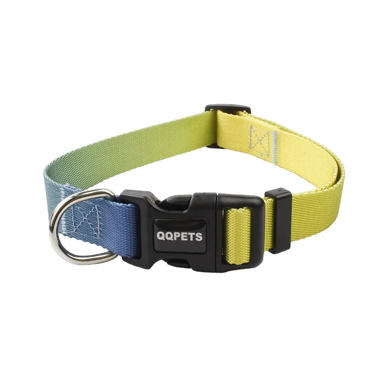 CowLost | dog-diapers-adjustable-nylon-dog-collar-and-leash-set |15