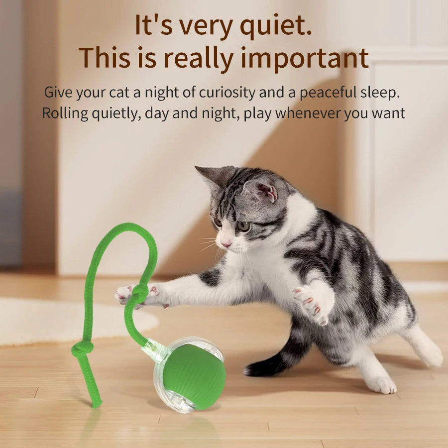 CowLost | product_id-rechargeable-automatic-rolling-ball-interactive-toy-for-cats-and-dogs |9