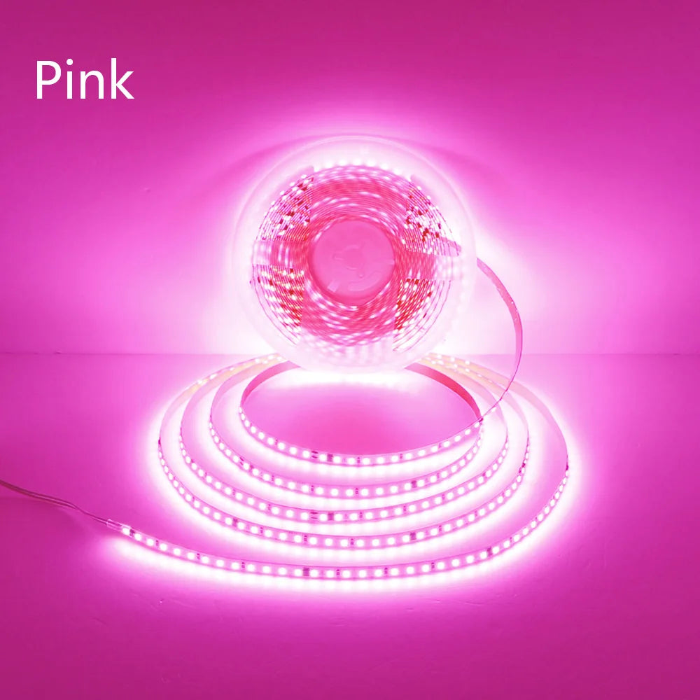 CowLost | 110v-220v-led-strip-2835-120leds-m-home-lamp-strip |23