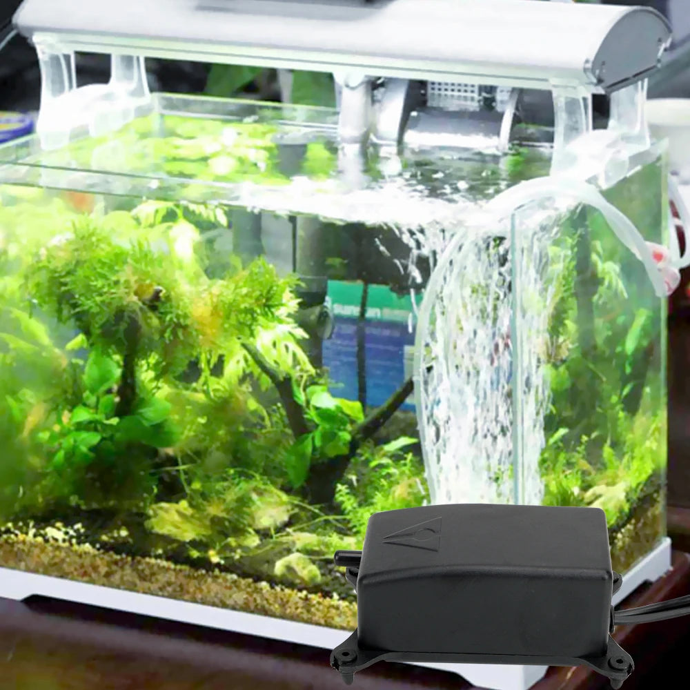 CowLost | product_id-10w-energy-saving-noiseless-aquarium-air-pump-with-eu-us-plug-for-oxygen-increase |3