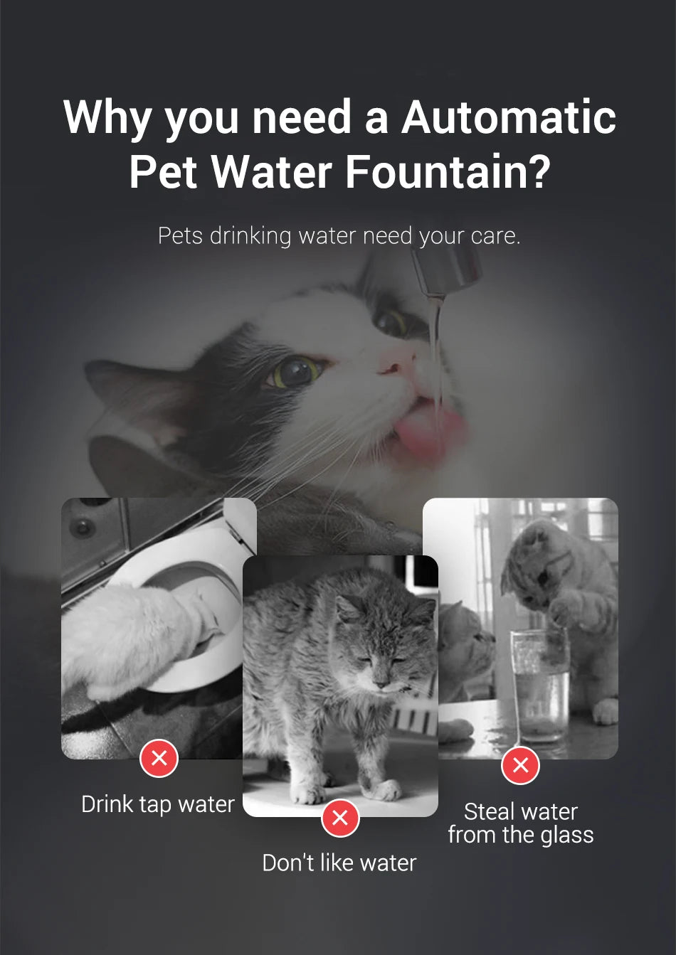 CowLost | cat-food-rojeco-led-cat-water-fountain-filter-automatic-dispenser |9