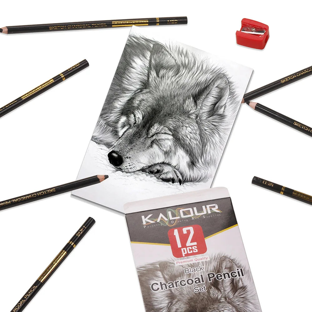 CowLost | charcoal-pencils-product_id-kalour-6-12-carbon-and-white-charcoal-highlight-pencils-for-art-drawing |12