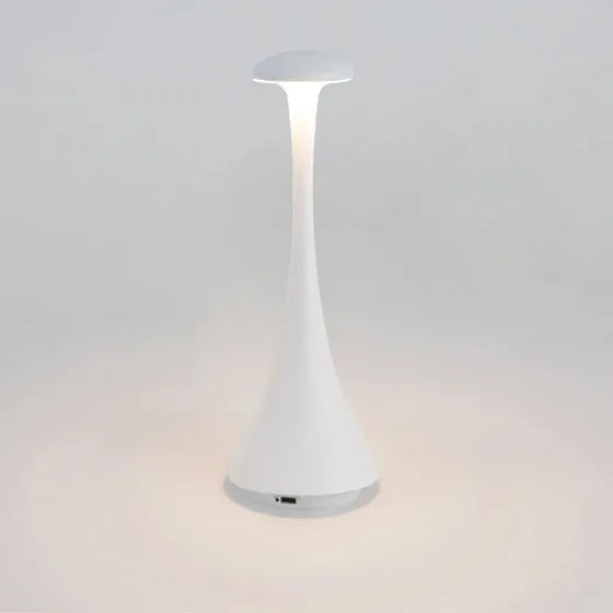 CowLost | product_id-atmosphere-dimmable-rechargeable-wireless-touch-table-lamp-usb-c-for-bedroom-hotel |11