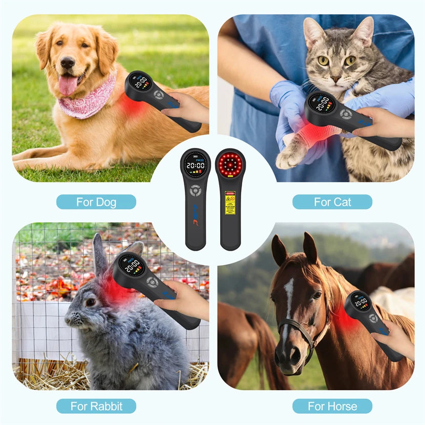 CowLost | cold-laser-chiropractic-treatment-660nmx16-810nmx4-980nmx4-knee-and-spine |5