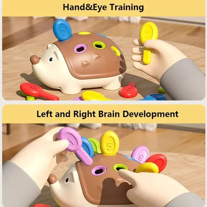 Montessori Baby Hedgehog Sensory Fine Motor Educational Toy for Kids