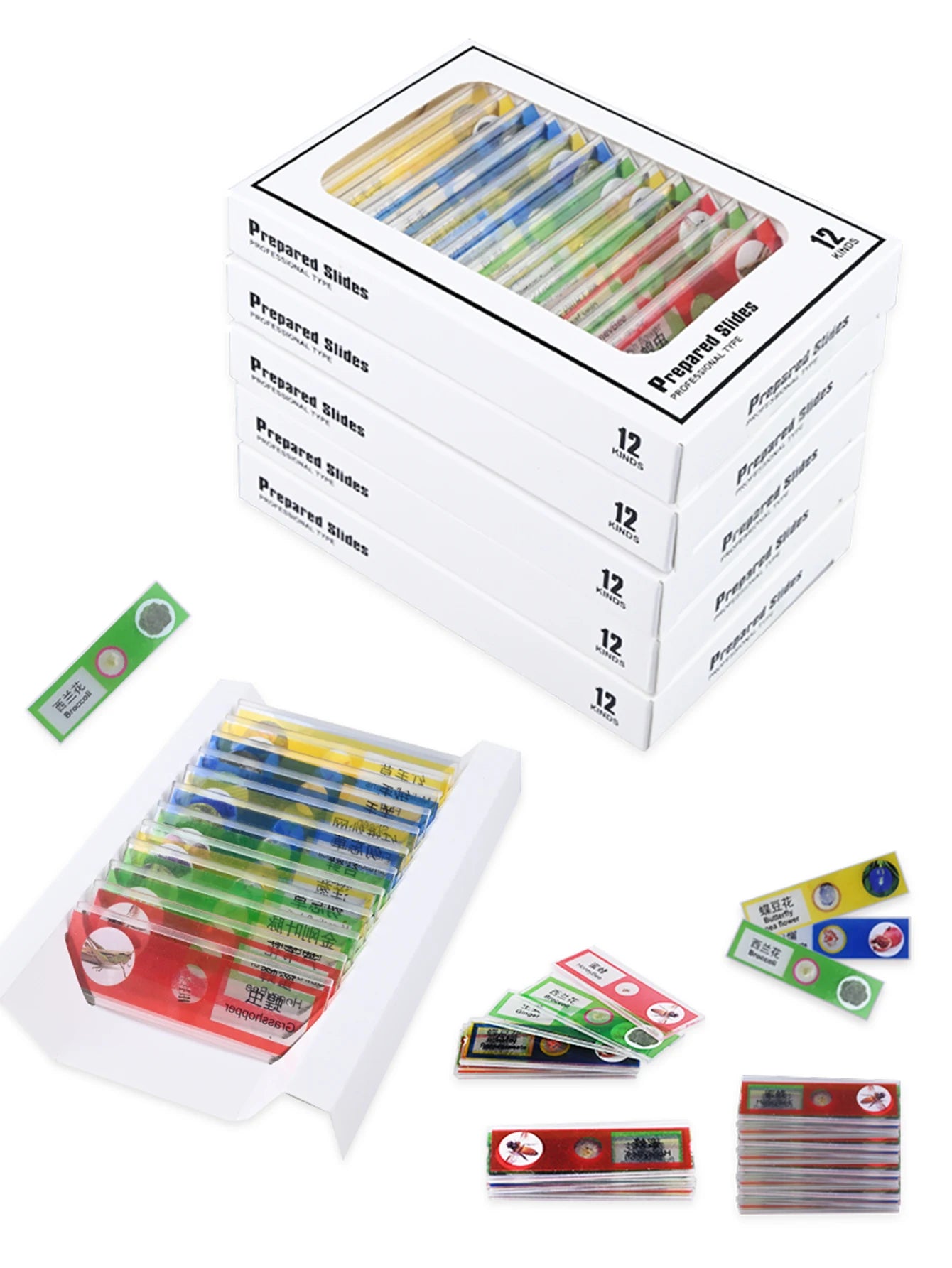 CowLost | product_id-mini-handheld-microscope-toy-kit-with-led-lights-and-2-ag13-batteries-science-gift-for-kids |17