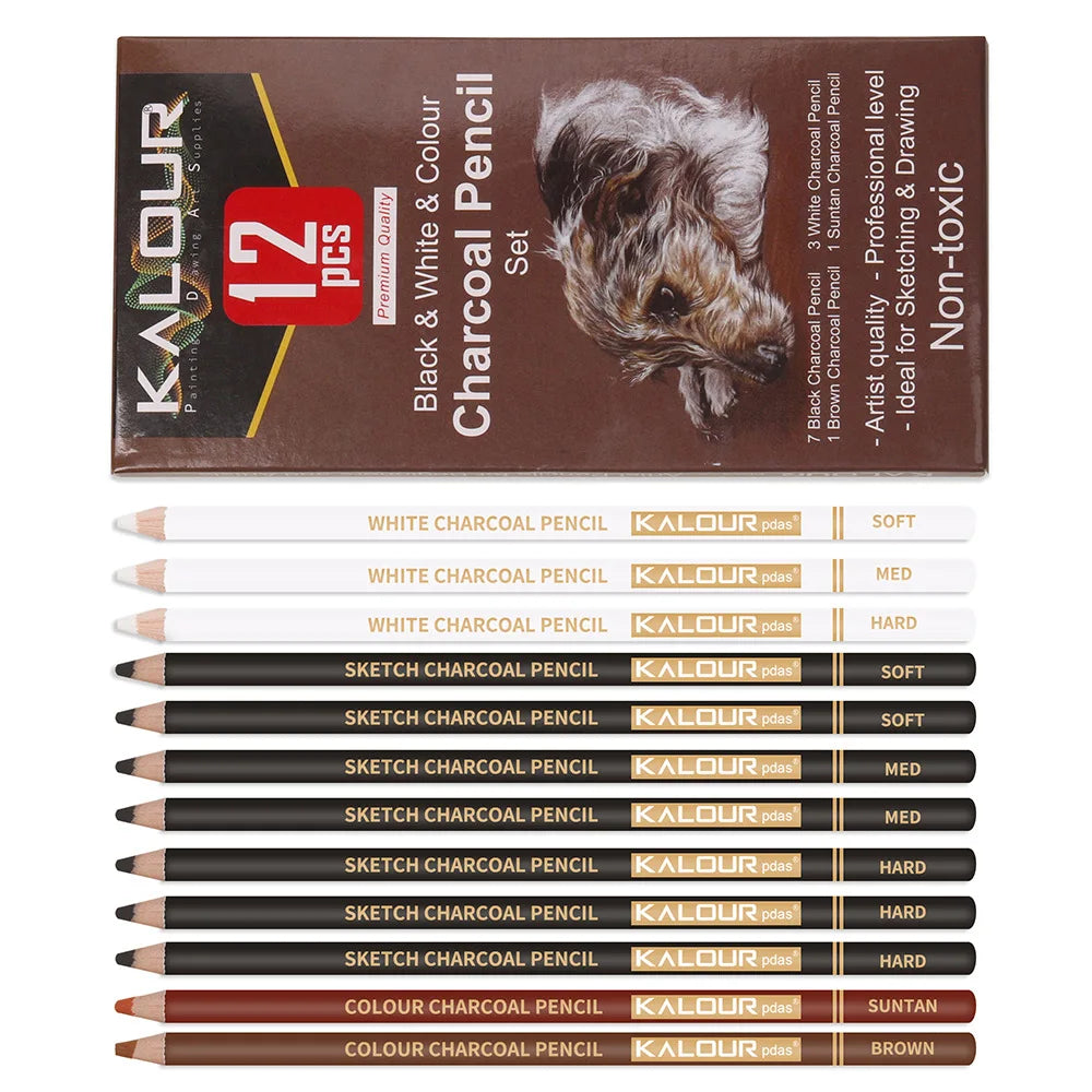 CowLost | charcoal-pencils-product_id-kalour-6-12-carbon-and-white-charcoal-highlight-pencils-for-art-drawing |2