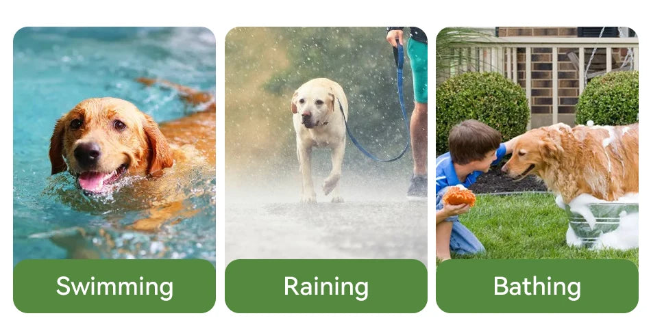 CowLost | dog-diapers-rojeco-ipx7-waterproof-electric-dog-training-collar-with-remote-control |20