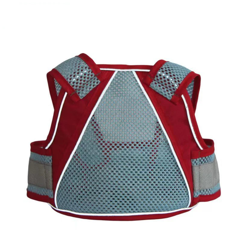 CowLost | baby-walking-assistant-motorcycles-electric-bicycles-riding-child-safety-belts |21