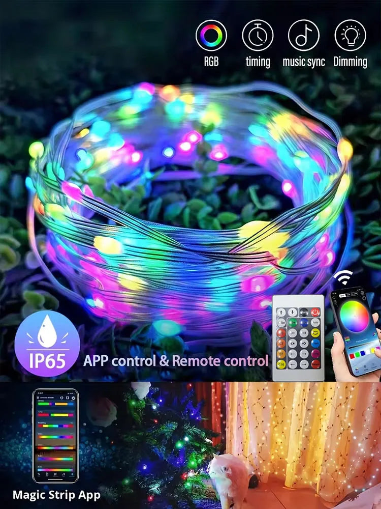 CowLost | led-lights-product_id-ws2812b-rgbic-led-string-light-bluetooth-usb-waterproof-for-christmas-tree-home-decor |8