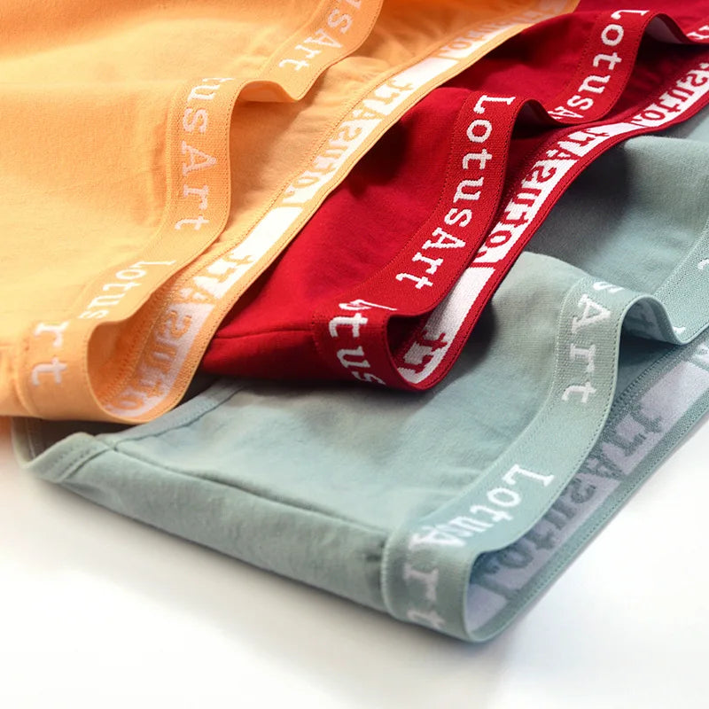 CowLost | product_id-2pcs-women-high-waist-cotton-briefs-tummy-control-breathable-m-2xl |6
