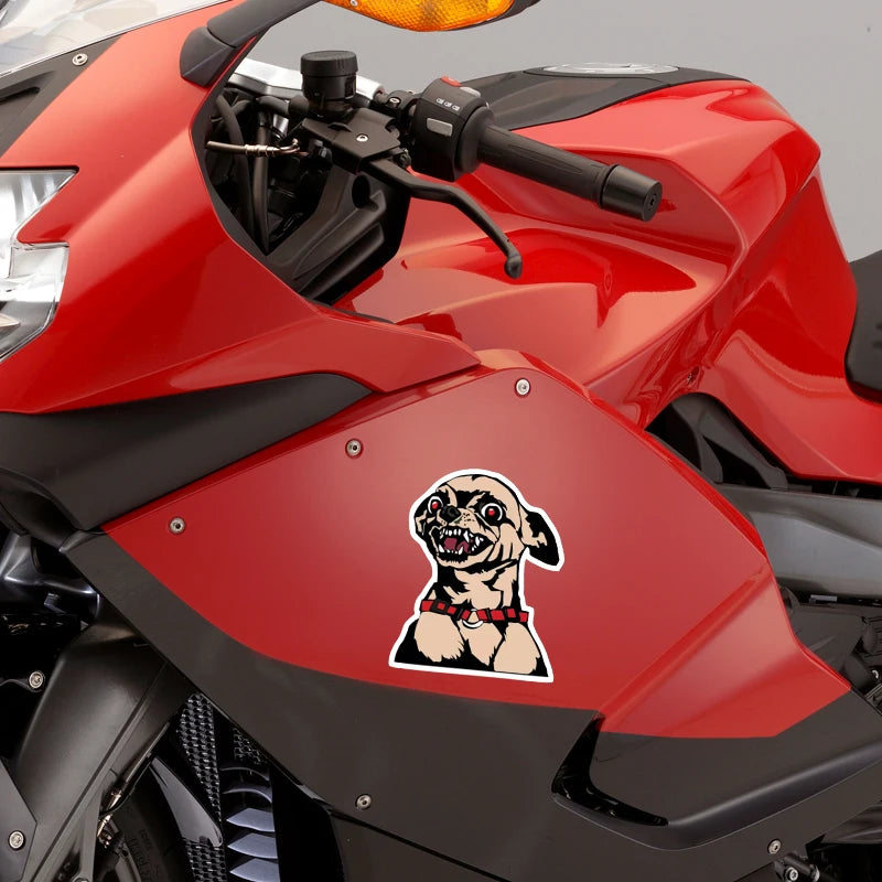 CowLost | angry-chihuahua-car-sticker |15