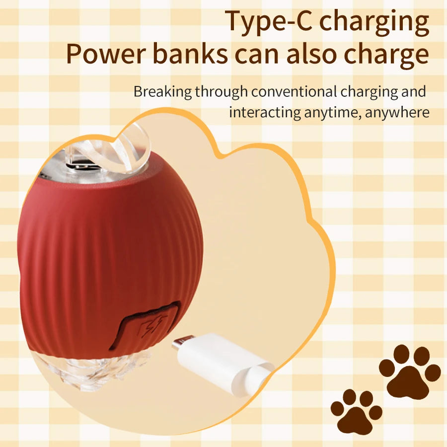 CowLost | product_id-rechargeable-automatic-rolling-ball-interactive-toy-for-cats-and-dogs |5