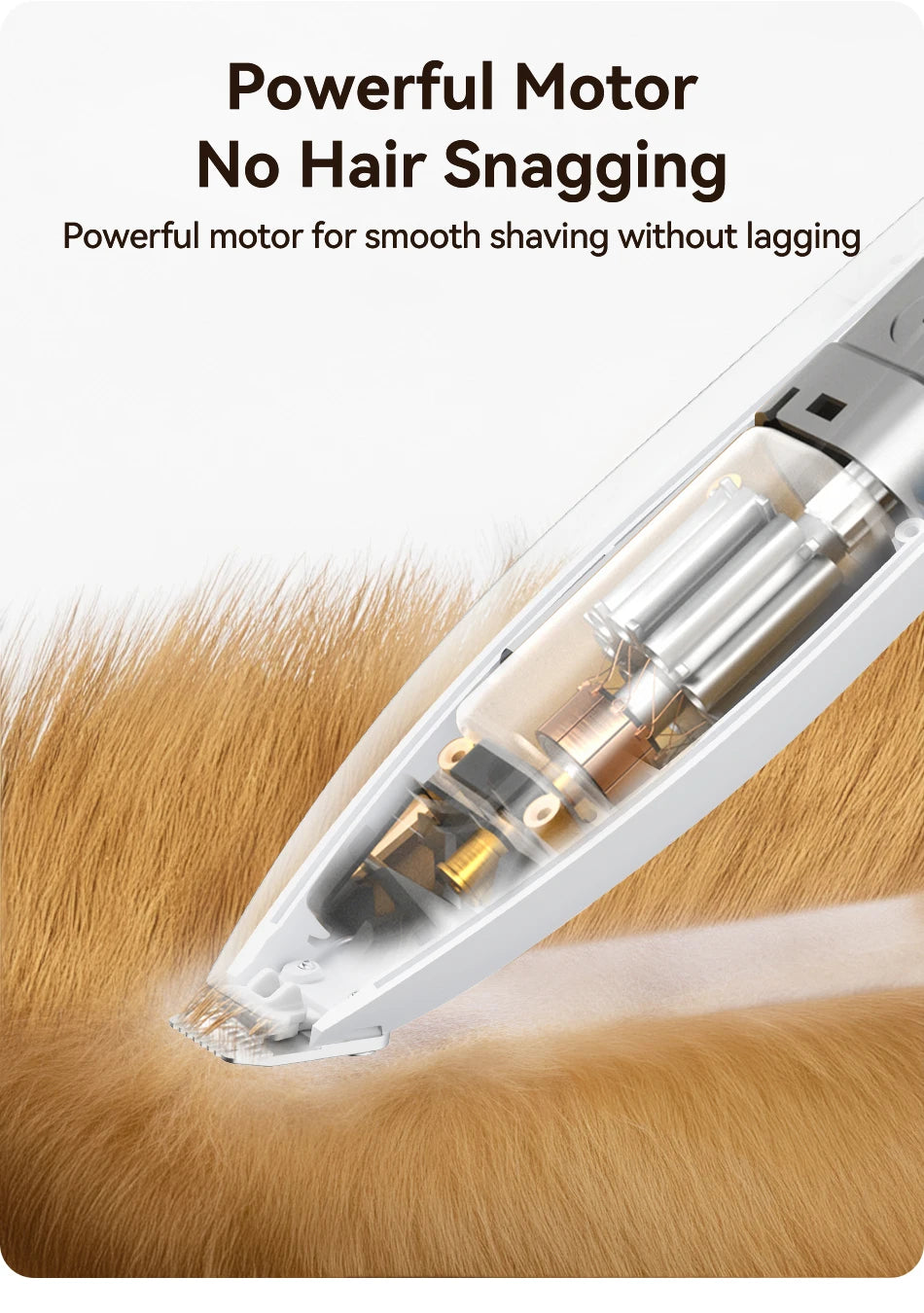 CowLost | rojeco-pet-electric-clipper-for-cats |11
