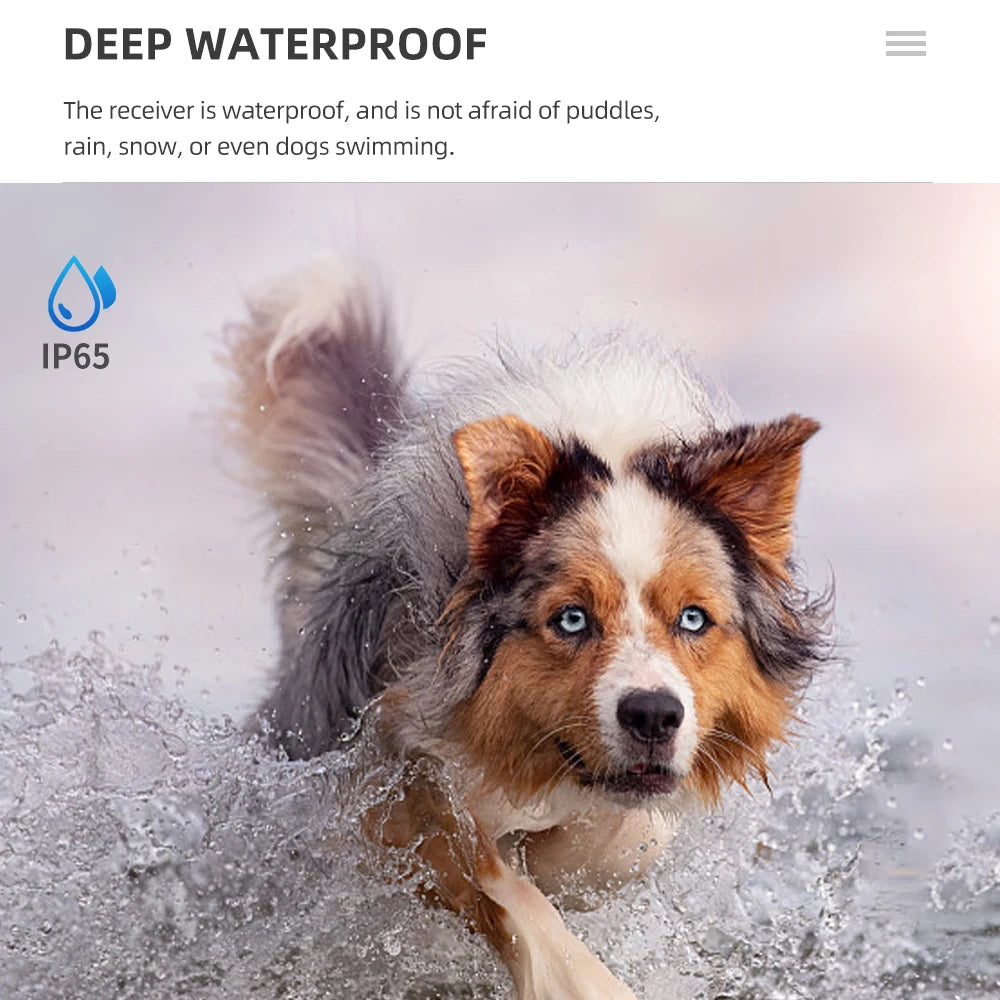 Rechargeable Waterproof Hunting Dog Beeper Training Collar