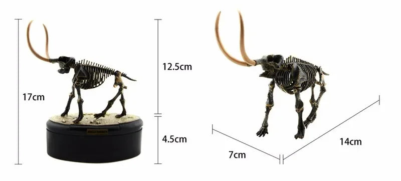 Dinosaur Excavation 3D Puzzle Toy Skeleton Fossil Model Chiosaurus