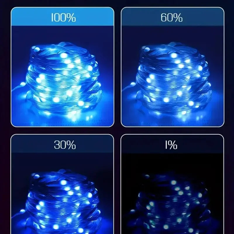 CowLost | led-lights-product_id-usb-rechargeable-waterproof-led-fairy-string-lights-bluetooth-music-app-for-party-decoration |13