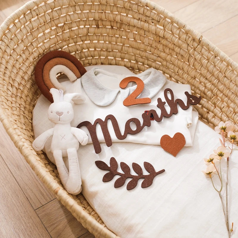 CowLost | baby-transport-accessories-felt-newborn-photography-milestone-props-0-12-months |10