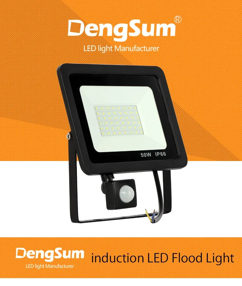 CowLost | 10w-20w-30w-50w-100w-induction-led-flood-light-with-adjustable-pir-sensor |7
