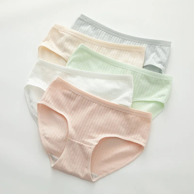 CowLost | product_id-5-pack-womens-low-rise-cotton-briefs-solid-colors-m-xl |1