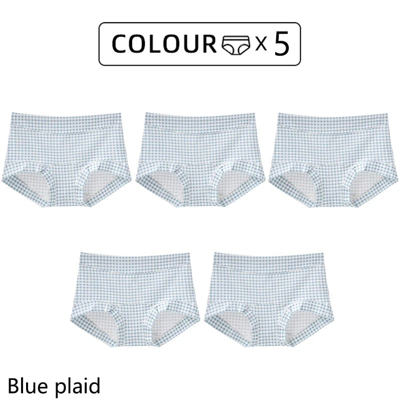 CowLost | product_id-fallsweet-5pcs-plus-size-womens-cotton-seamless-plaid-briefs-high-elastic-underwear |17