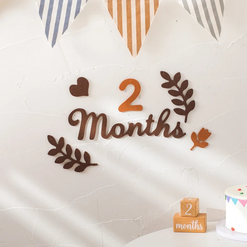 CowLost | baby-transport-accessories-felt-newborn-photography-milestone-props-0-12-months |2