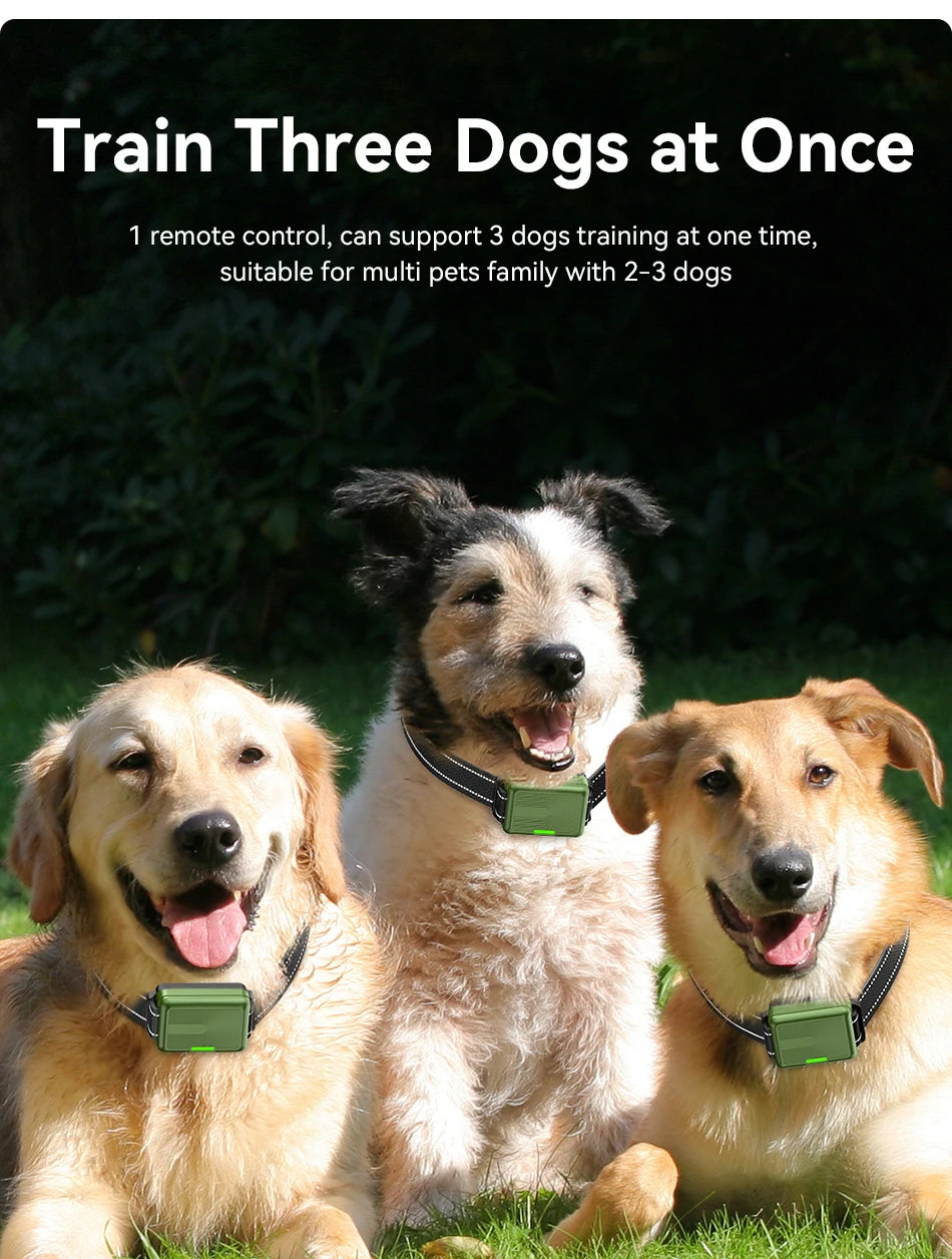 CowLost | dog-diapers-rojeco-ipx7-waterproof-electric-dog-training-collar-with-remote-control |15