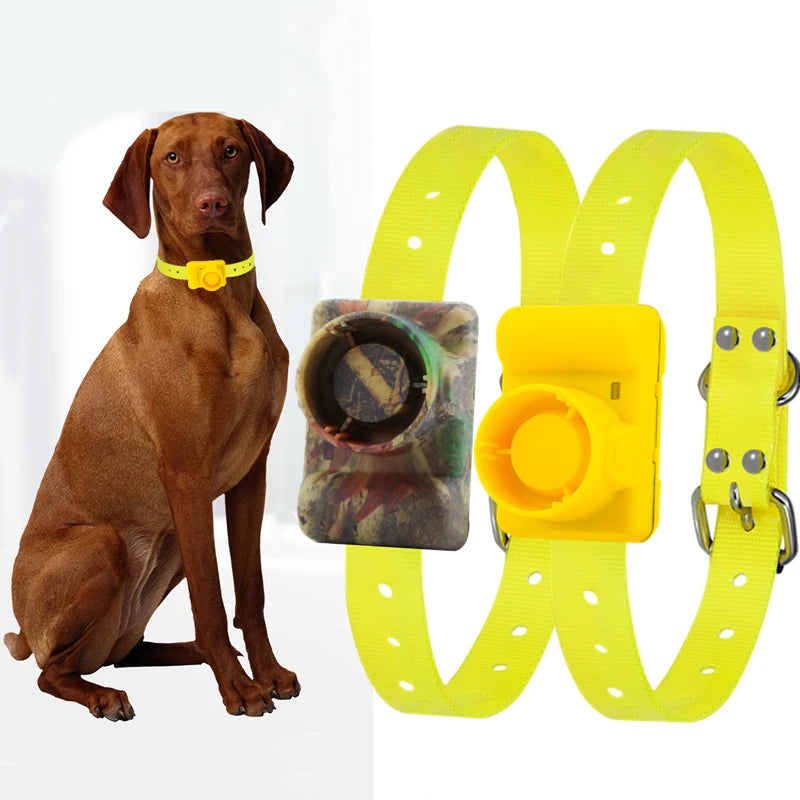 Rechargeable Waterproof Hunting Dog Beeper Training Collar