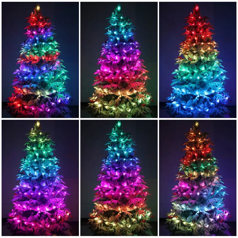 CowLost | product_id-dreamcolor-rgbic-usb-bluetooth-app-diy-led-fairy-string-lights-for-christmas-wedding-party |5