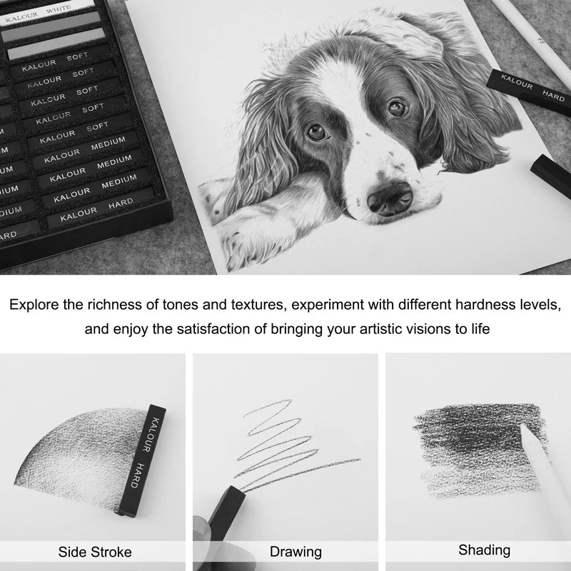 CowLost | product_id-kalour-24-piece-professional-artist-grade-charcoal-pastel-set-for-sketching-and-drawing |2