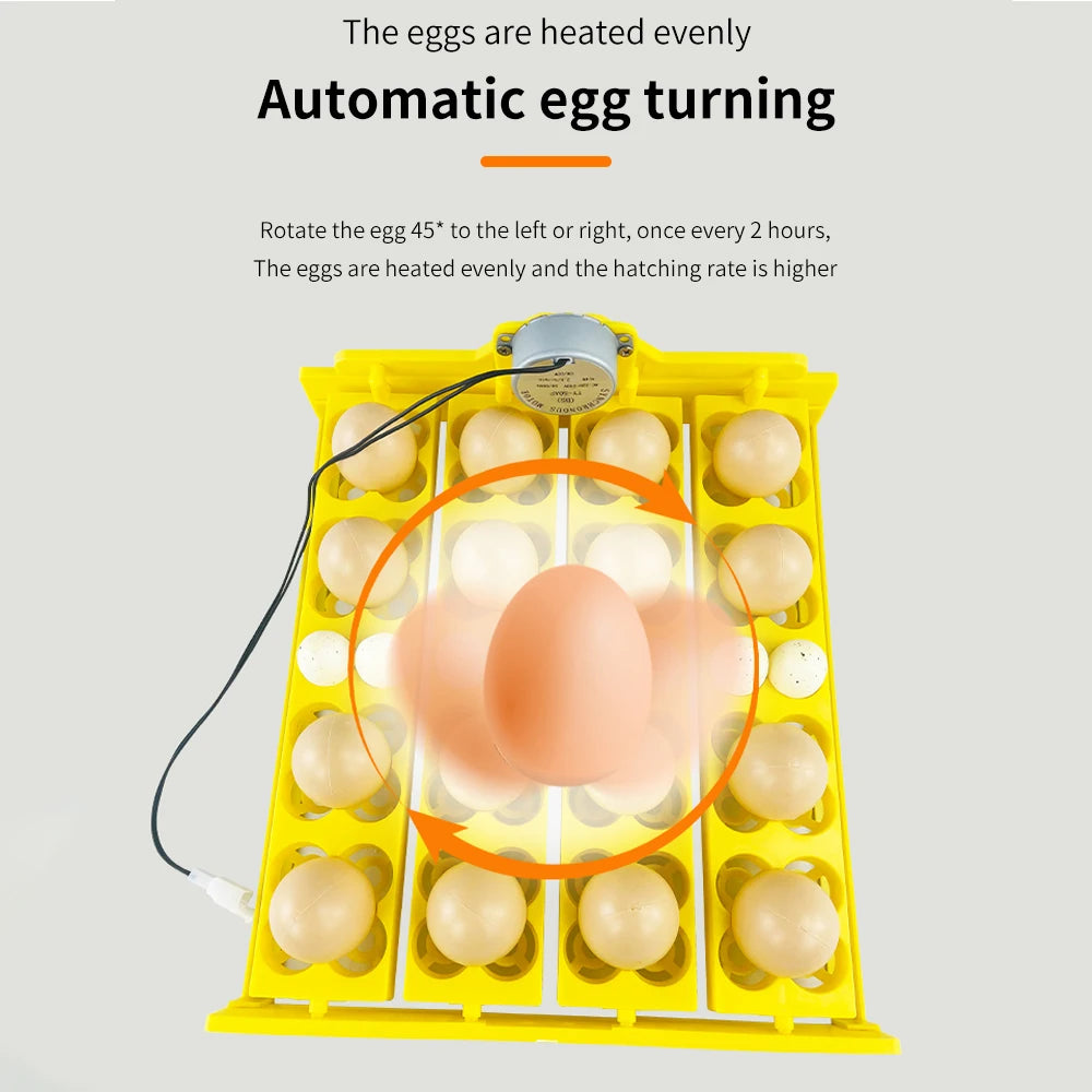 16/24 Eggs Automatic Incubator with Egg Turning AC220V for Chicken and Quail