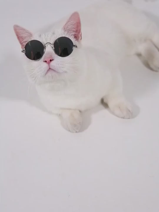 Vintage Round Cat Sunglasses Pet Photo Props for Cats and Small Dogs